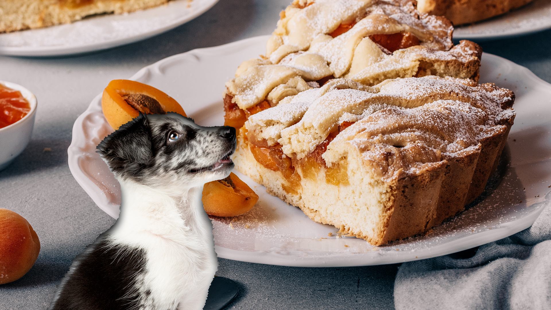 Can Dogs Eat Pie Crust