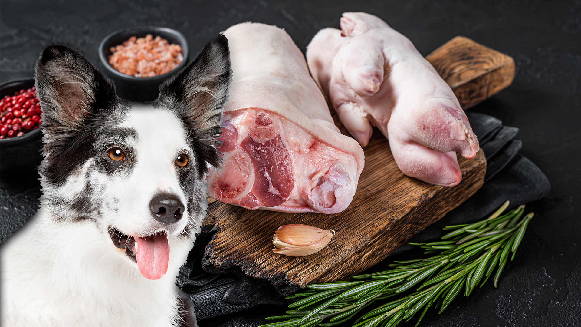 Can Dogs Eat Raw Pig Feet