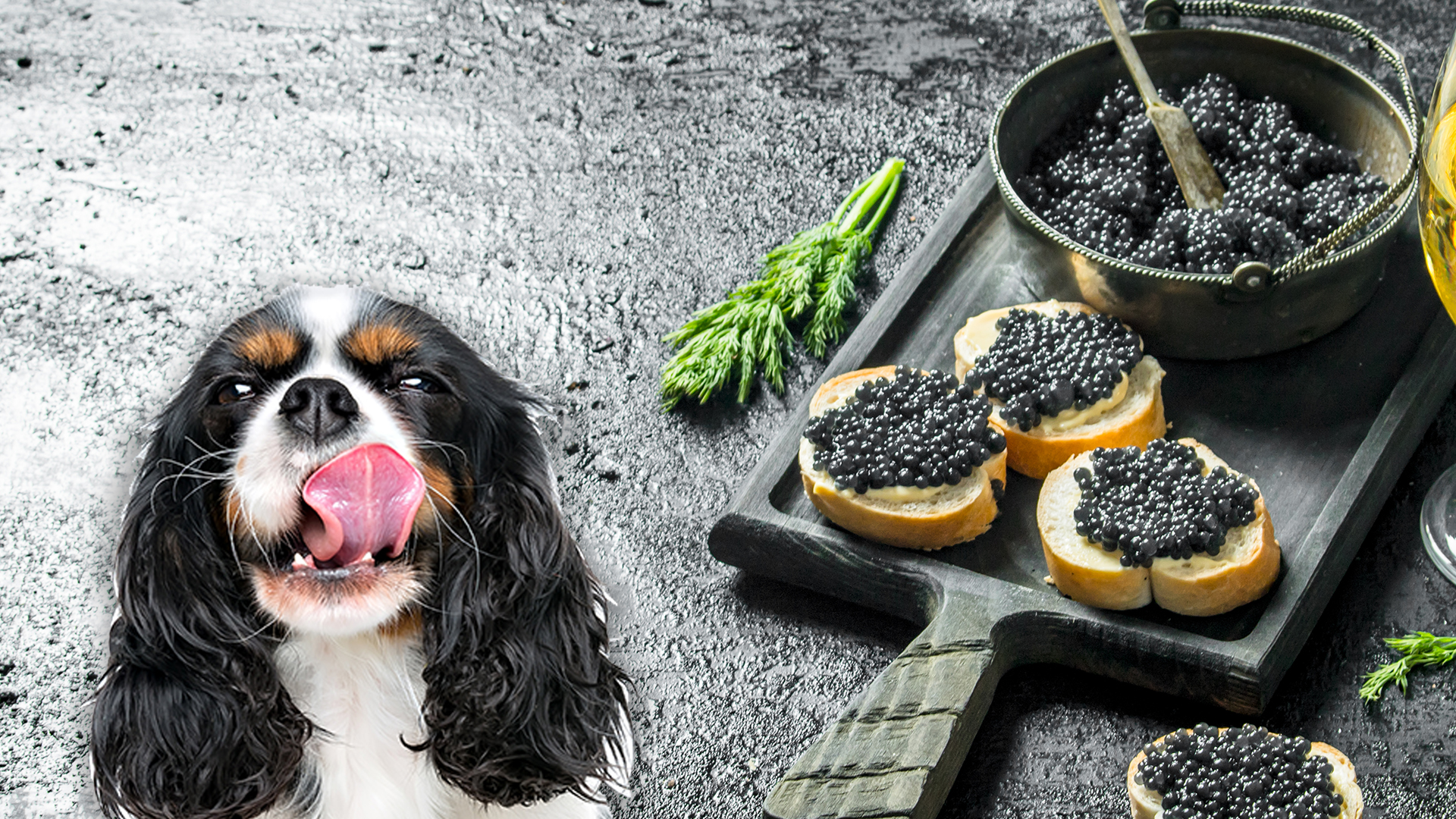 Can Dogs Eat Caviar?