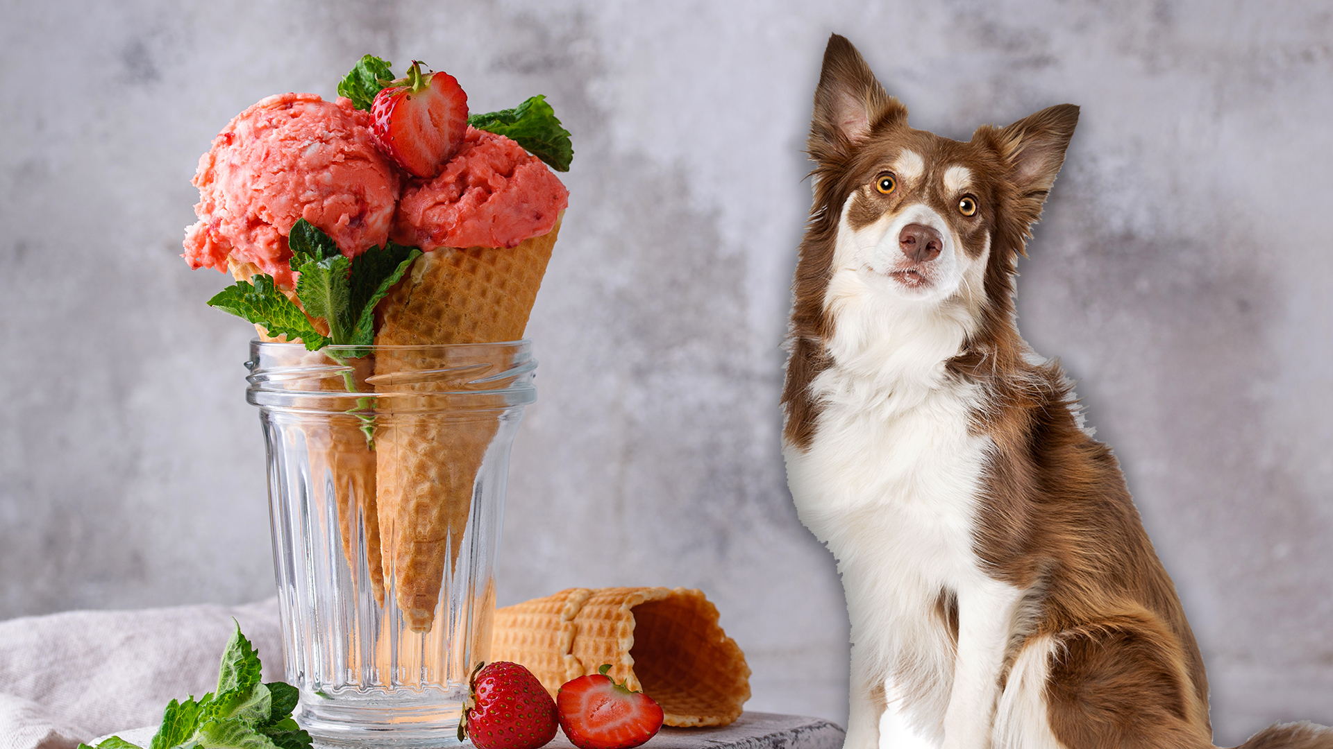 can dogs eat red bean ice cream?