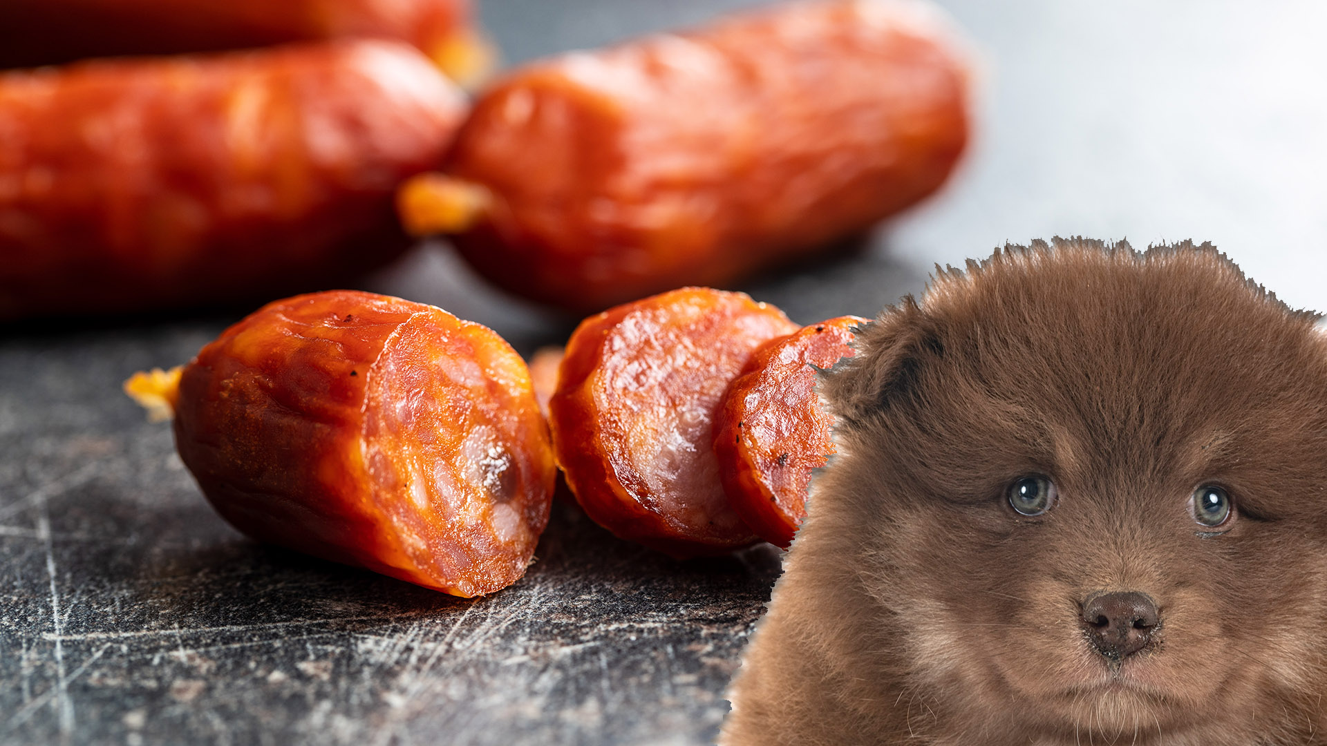 Can Dogs Eat Kabana