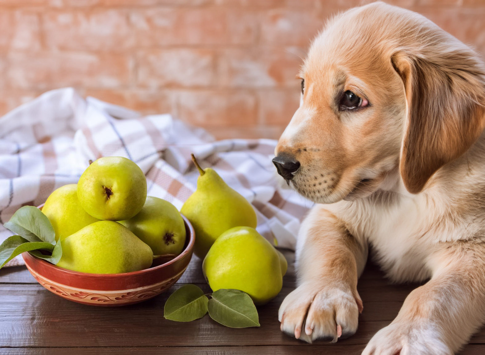 Can Dogs Eat Pears