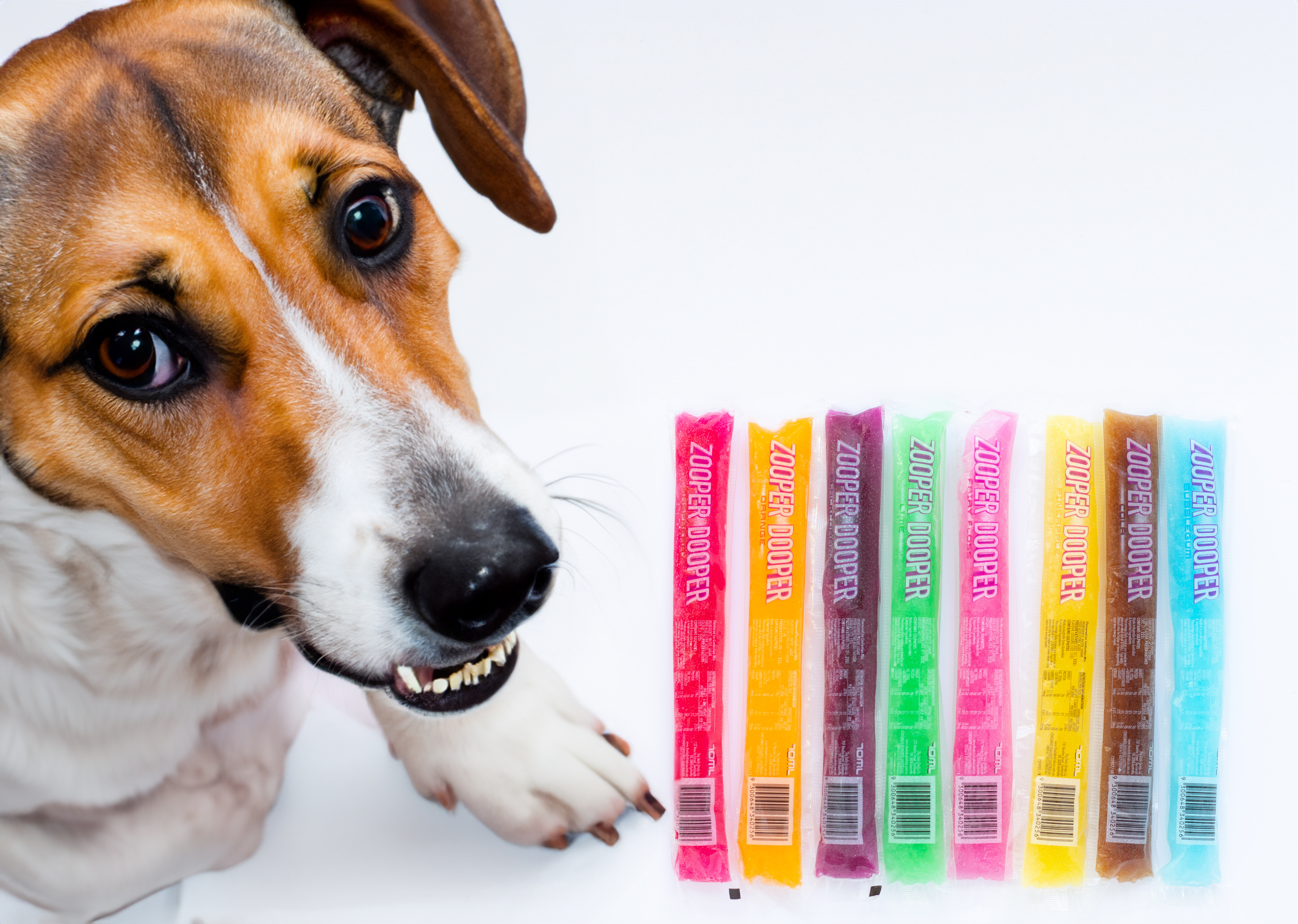 Can Dogs Eat Zooper Doopers