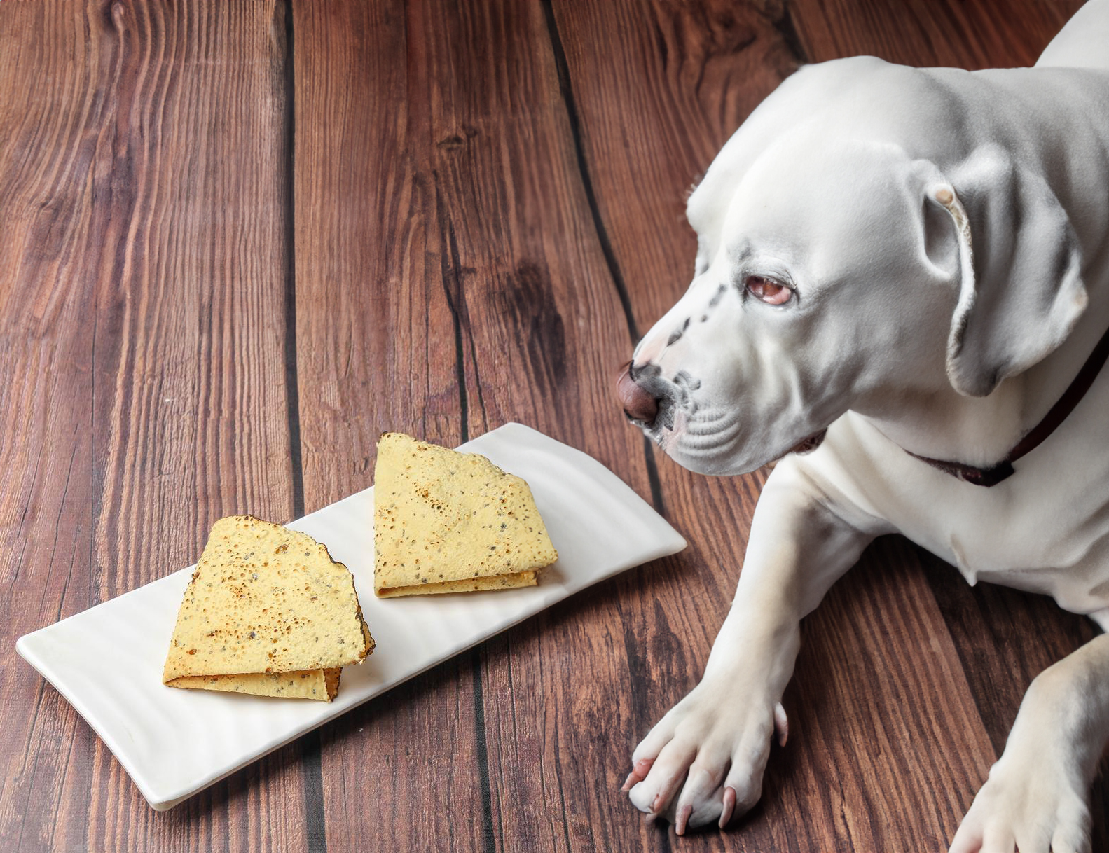 can dogs eat pappadums