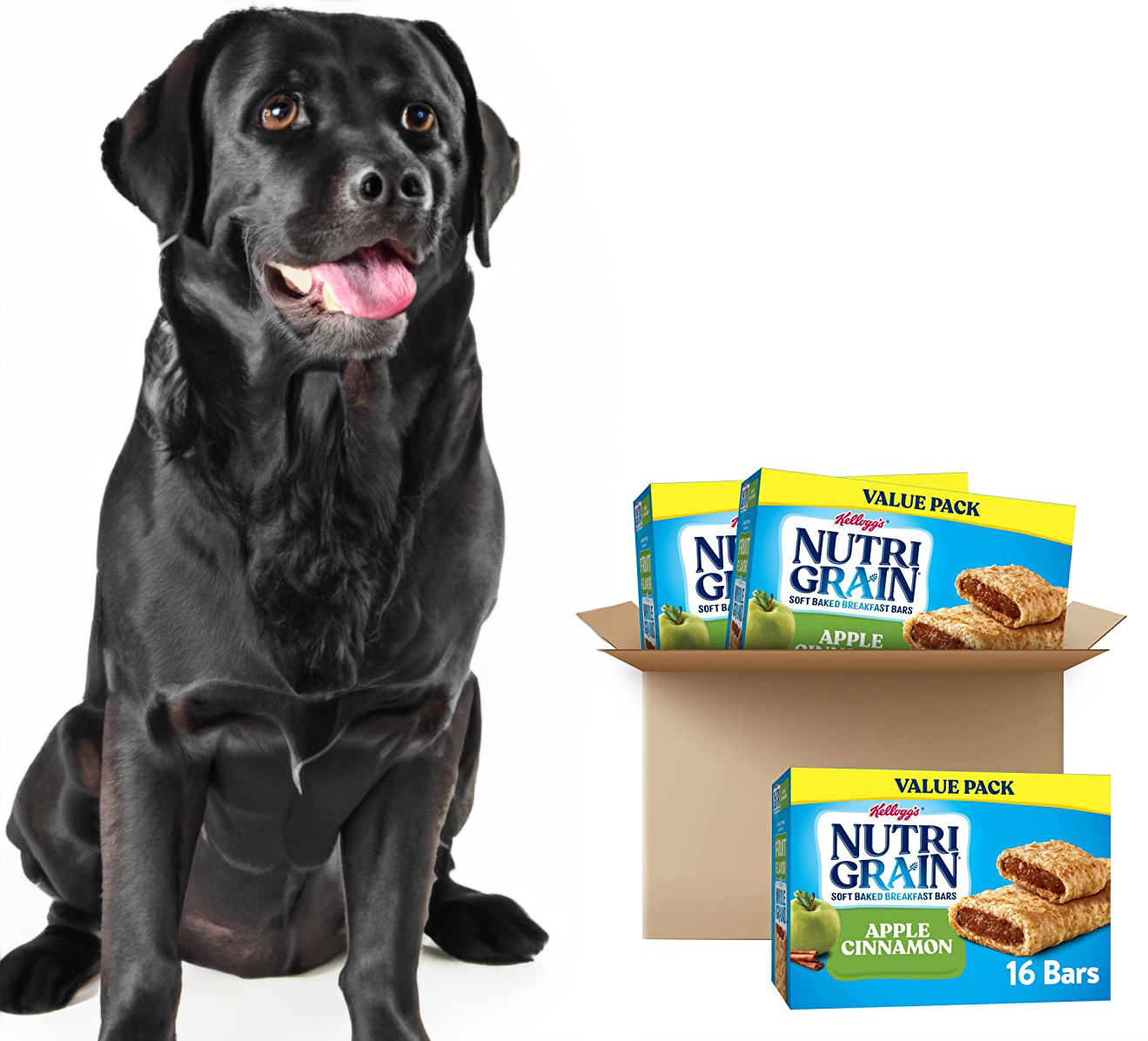 Can Dogs Eat Nutri-Grain?